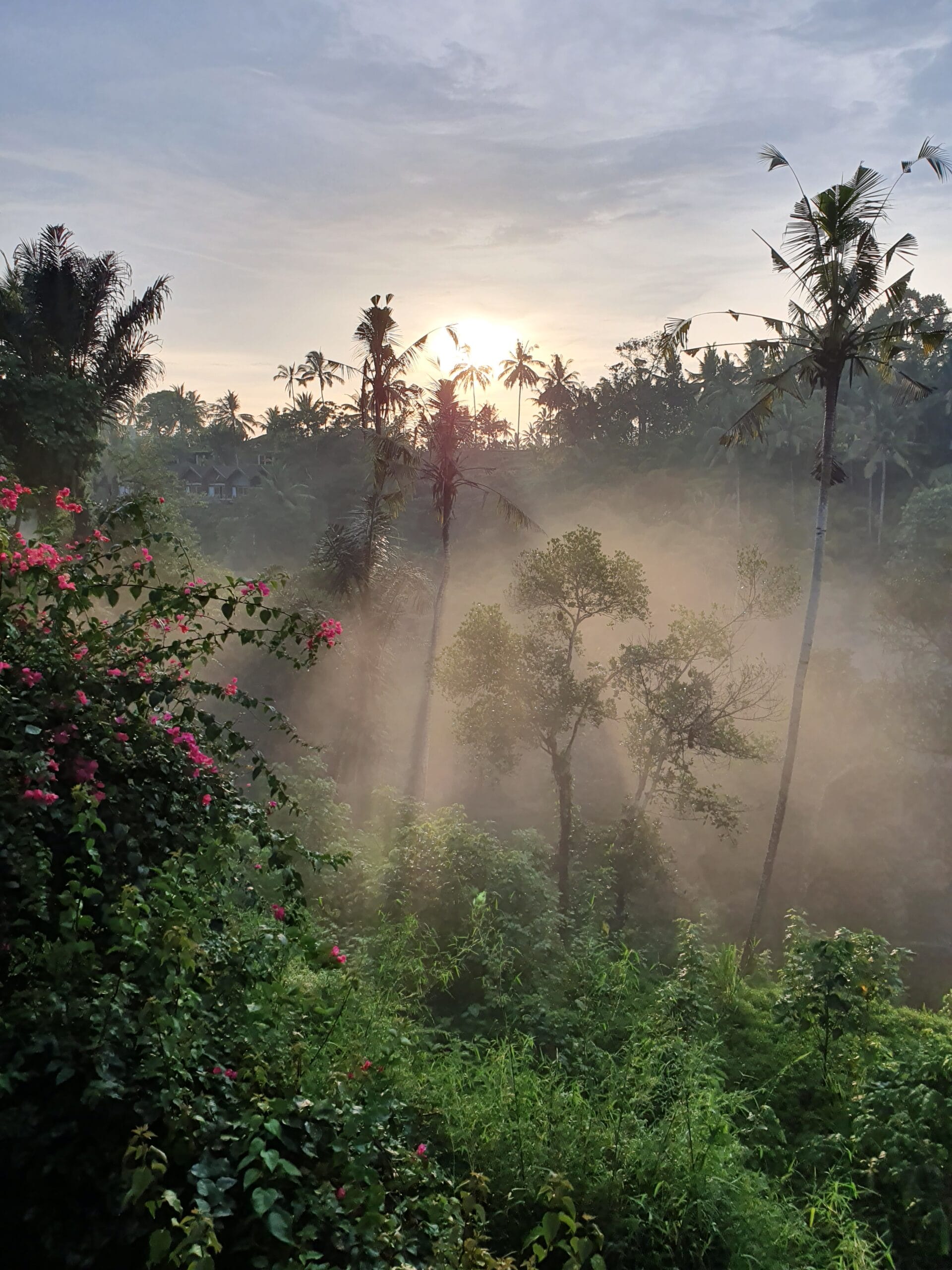 Ubudas